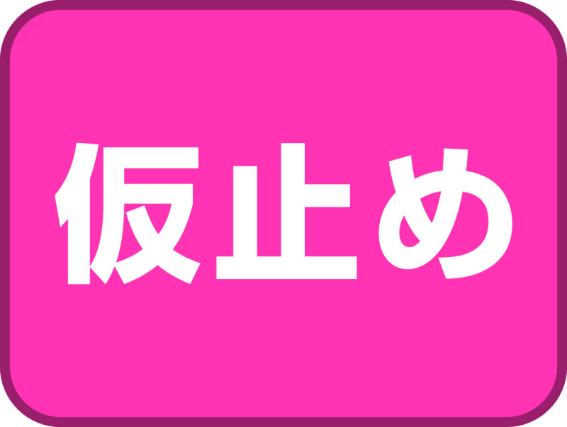 ダクターチャンネル用中ナット（仮止め用） | ネグロス電工商品情報サイト